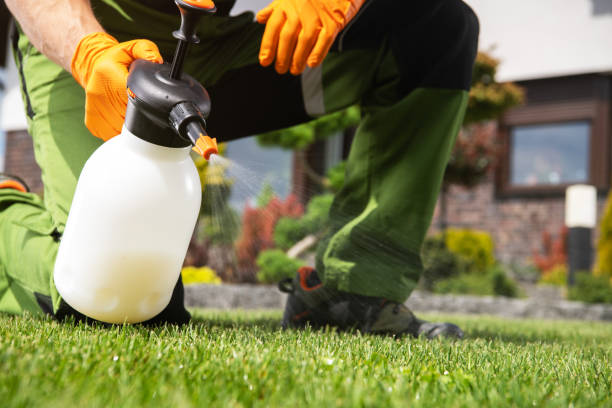 Best Insect Control  in Four Cners, OR