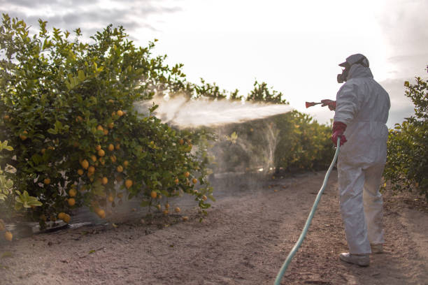 Best Flea Control Services  in Four Cners, OR