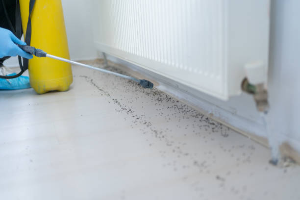 Best Emergency Pest Control  in Four Cners, OR