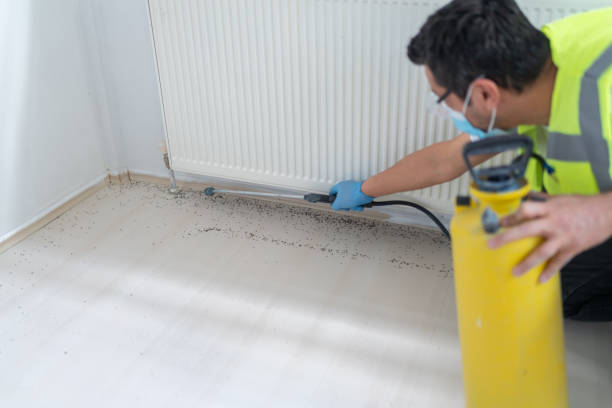 Best Residential Pest Control  in Four Cners, OR
