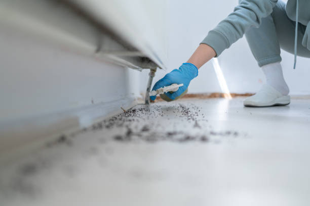 Best Bed Bug Extermination  in Four Cners, OR